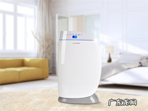 专业好用除甲醛5大品牌 除甲醛哪个品牌好用