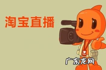 淘宝直播回看时可以快进吗?有哪些技巧?