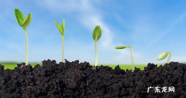 在农村创业做什么好？有哪些优势？