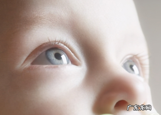 儿童吃叶黄素哪个品牌好，吃什么保护视力？