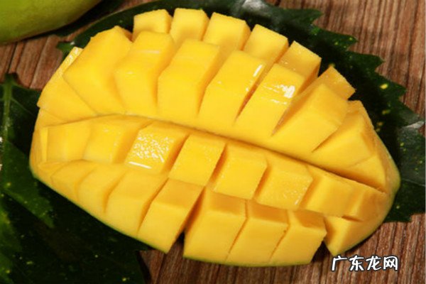 抖音粉丝多了怎么赚钱？变现方式有哪些？