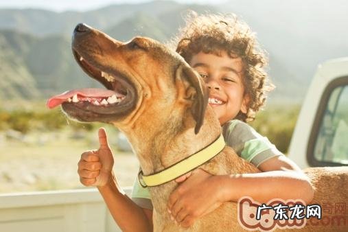 怎样训练小狗文明礼貌的迎来顾客