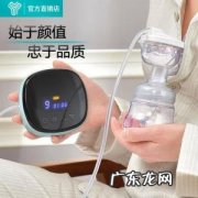 吸奶器排行榜十强 吸奶器排行榜