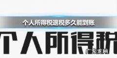 个人所得税退税怎么申请退税？多久到账？