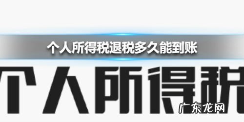 个人所得税退税怎么申请退税?多久到账?