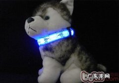 你的小狗合适颈圈還是胸肩带