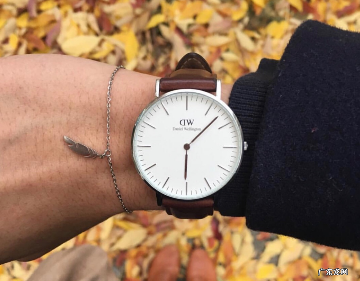 三款值得购买的dw手表 dw手表怎么样