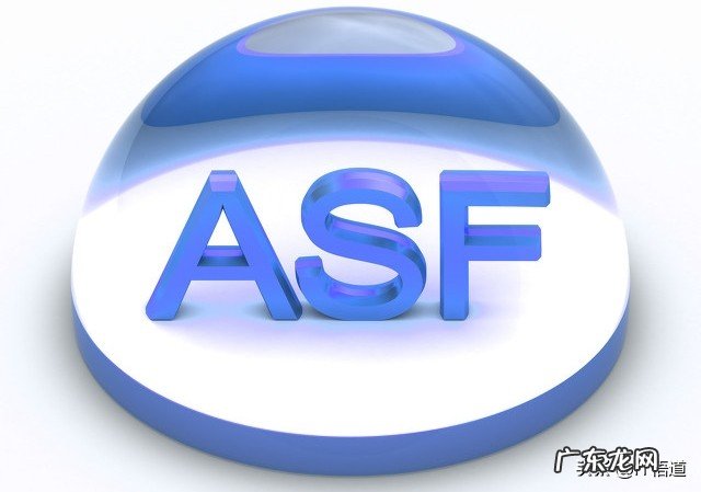 视频的格式有哪些?都有什么特点?