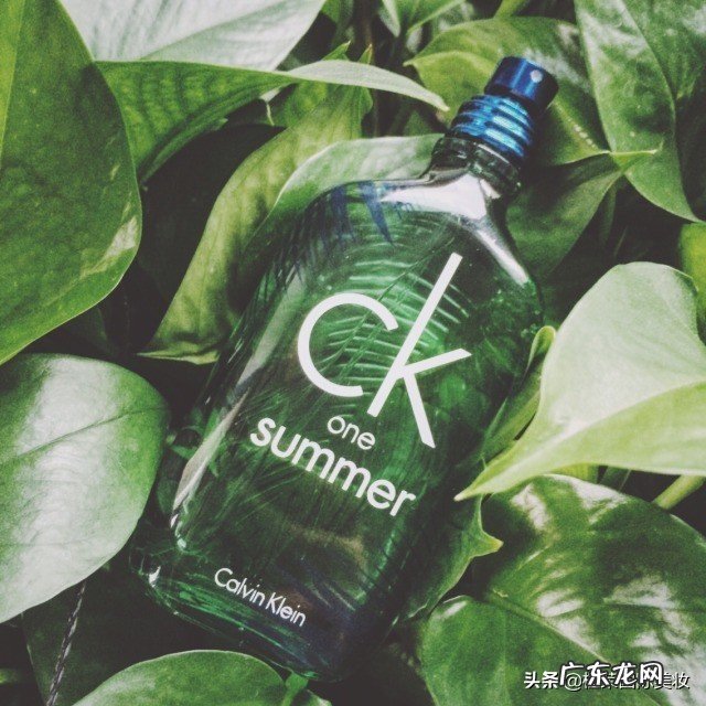 值得入手收藏的7款香水 ck香水怎么样