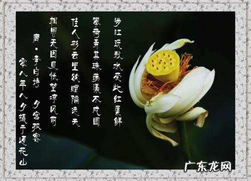 形容时间快的诗词句 【抖音文案】形容时间太快的诗词