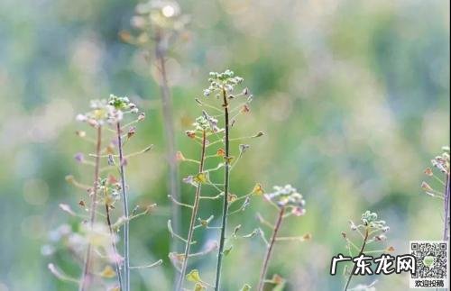 【抖音文案】励志的句子致自己简短唯美短句