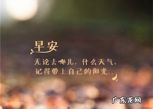 友情的句子唯美简短 【抖音文案】关于努力的句子简短唯美