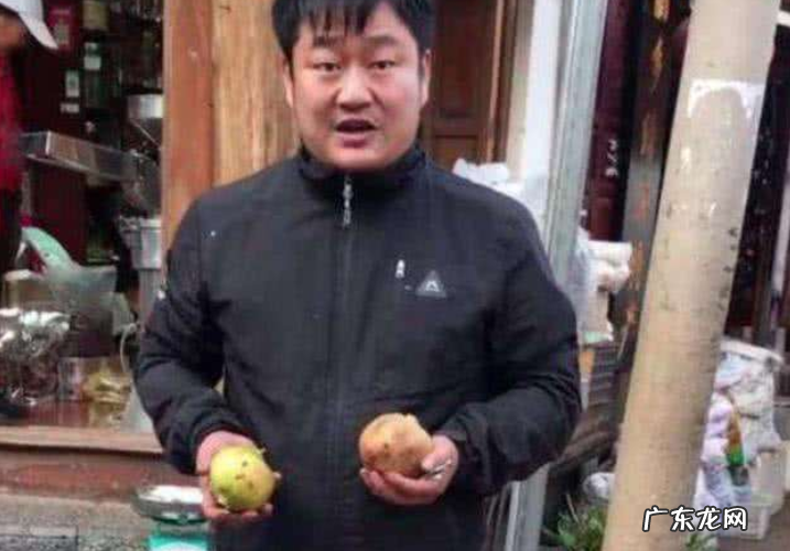 石榴哥金国伟成名经历 丽江石榴哥怎么样了