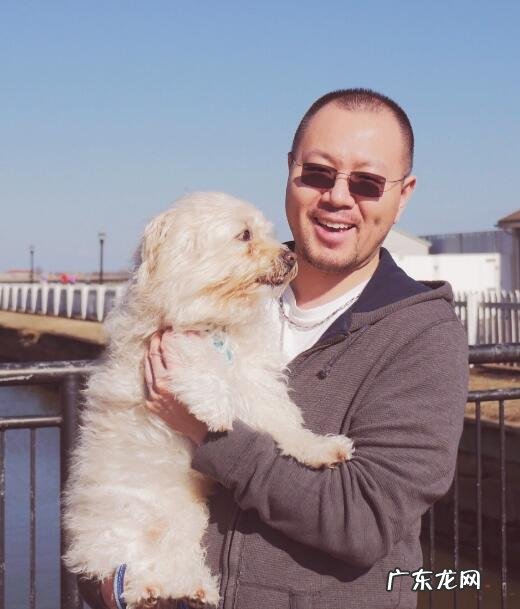 虎二作品因版权问题下线 抖音虎二是怎么火的