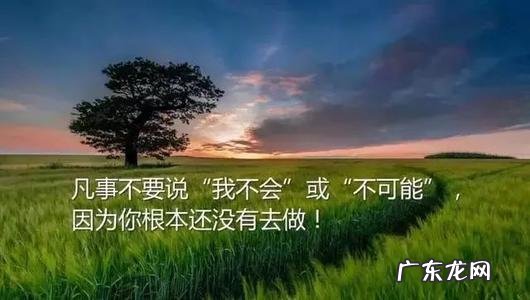 情感生活感悟经典句子带图片 【抖音文案】人生情感感悟经典句子大全