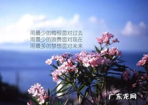 三毛100句人生感悟经典语录 【抖音文案】人生感悟简短经典语录