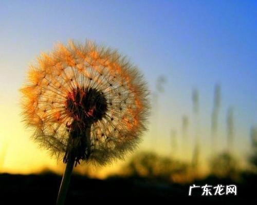 三毛100句人生感悟经典语录 【抖音文案】人生感悟简短经典语录