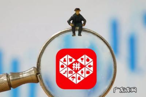 拼多多旗舰店怎么样?有哪些过硬的优势?