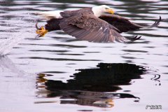 创业成功必备3要素 创业三要素是哪三要素