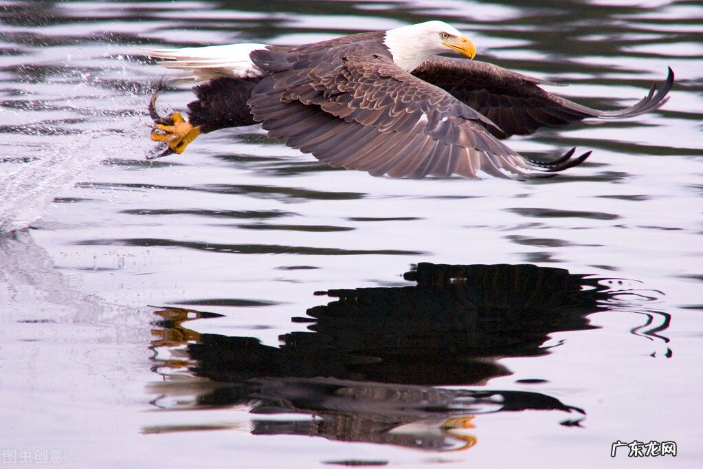 创业成功必备3要素 创业三要素是哪三要素