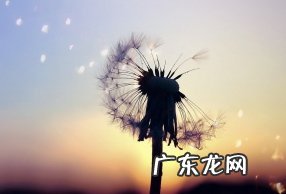 等待是一种煎熬句子 【抖音文案】漫长又煎熬的等待句子