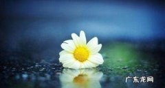 伤感又扎心的句子 【抖音文案】特扎心的伤感句子