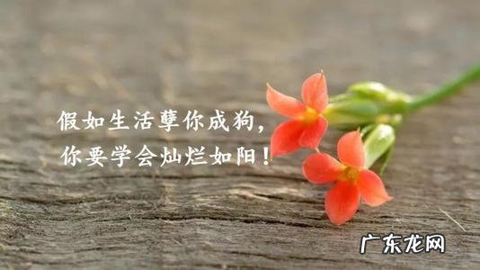 写给自己最好的句子 【抖音文案】写给自己最美的句子