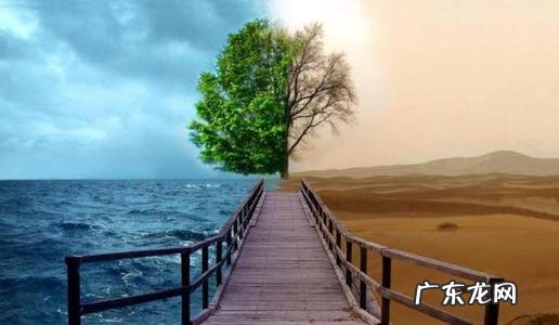 人生现实的短句 【抖音文案】经典人生短句现实