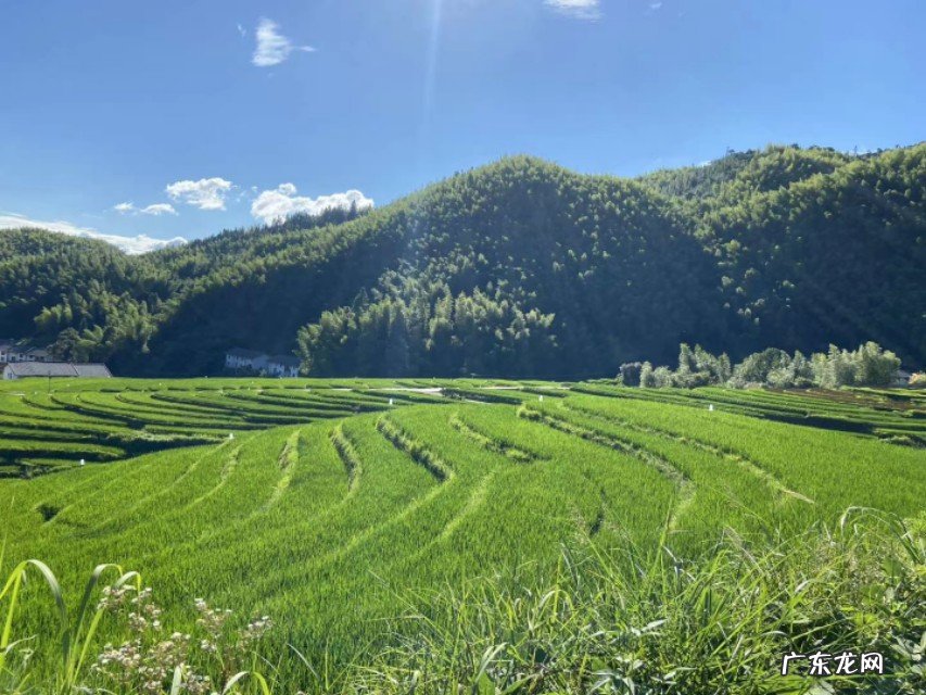 开票步骤详解 个体户开票怎么开