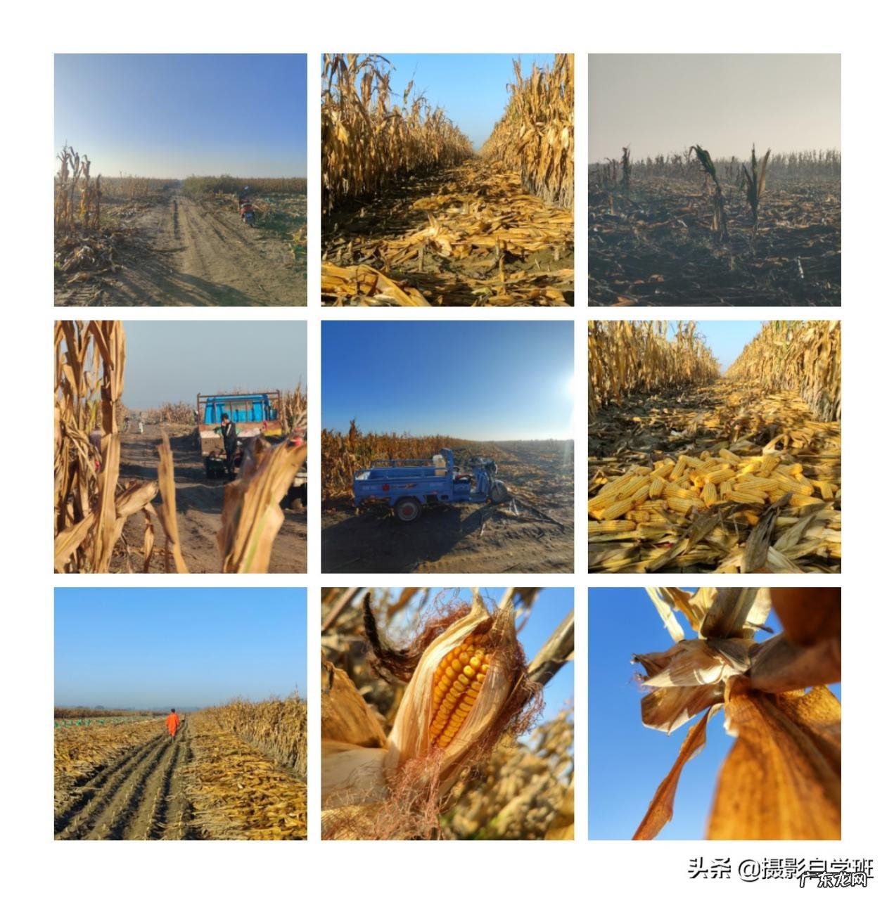 制作九宫格图片方法步骤 照片九宫格怎么弄