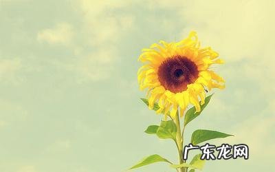 为生活努力拼搏正能量的句子 【抖音文案】学生努力拼搏正能量的句子