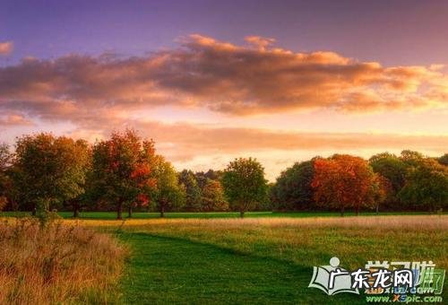 描写杜甫草堂环境优美的句子 【抖音文案】描写环境优美的唯美句子