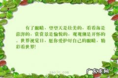 【抖音文案】形容眼睛里有光的句子