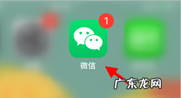 什么是多多买菜?商家怎么入驻?