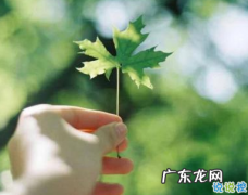 形容心情好的句子唯美诗句 【抖音文案】形容心情好的句子唯美