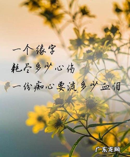 心情愉悦心情的唯美句子 【抖音文案】关于心情愉悦的唯美句子