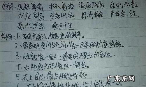 一年级优美的词语和句子摘抄大全 【抖音文案】优美句子和词语摘抄全部