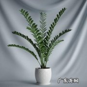 职务侵占罪 zhiwu