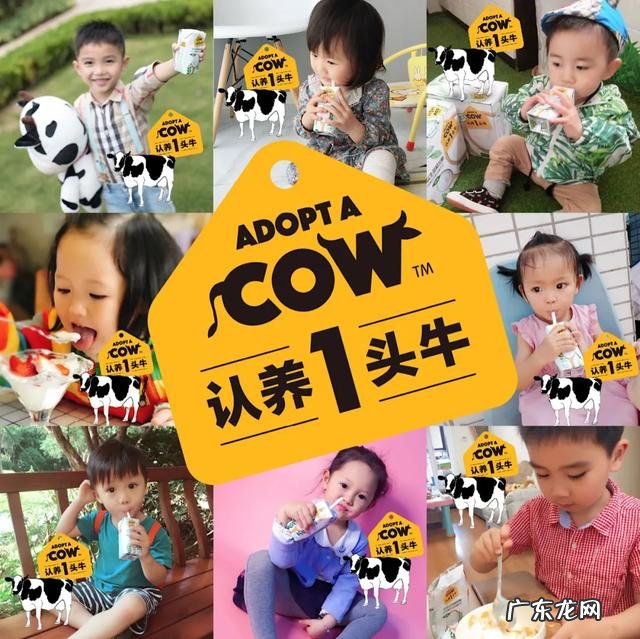 一顿暖心早餐,开启元气满满的一天