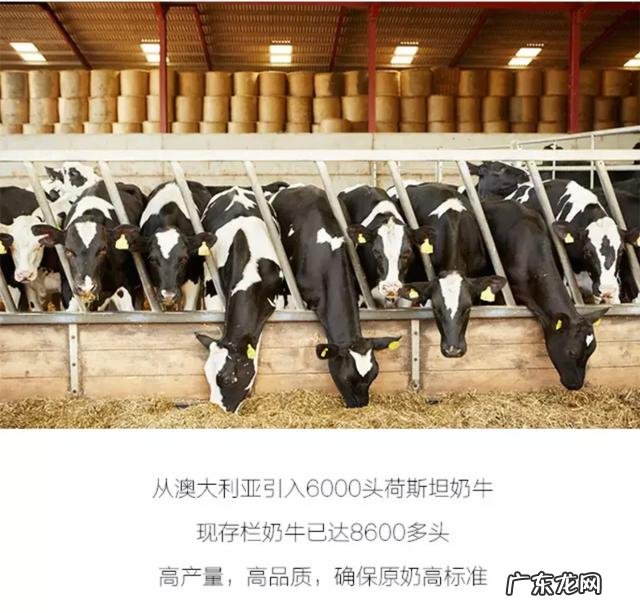 一顿暖心早餐,开启元气满满的一天