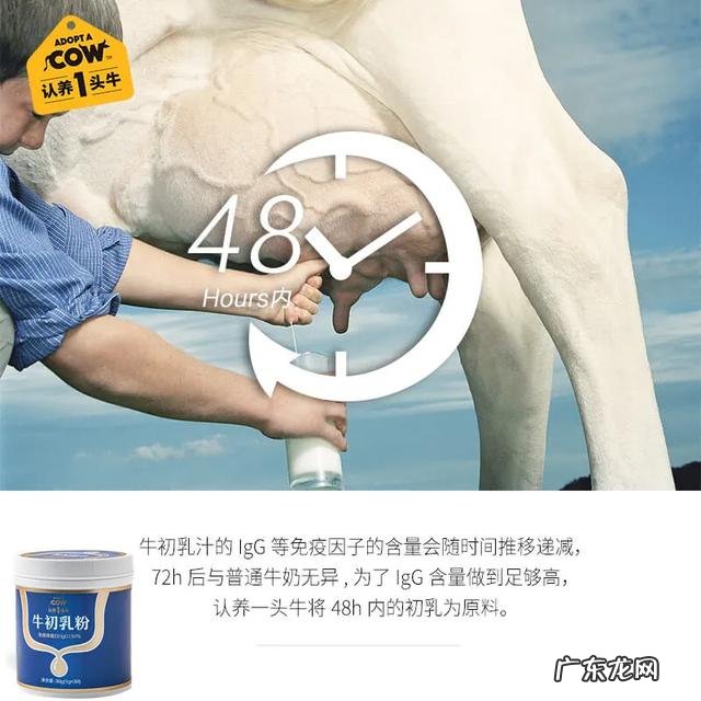 一顿暖心早餐,开启元气满满的一天