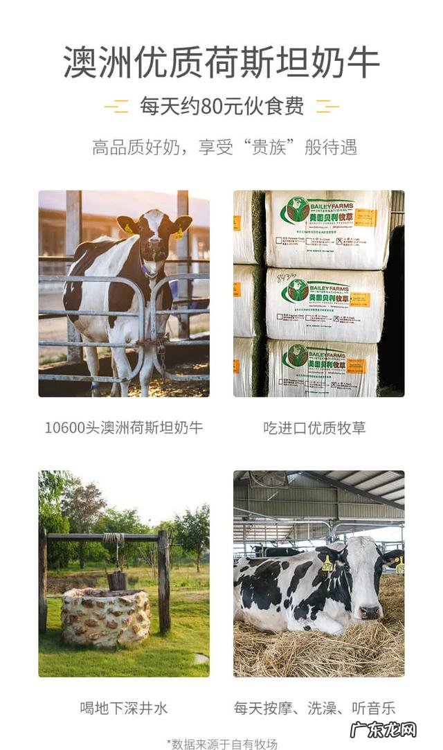 一顿暖心早餐,开启元气满满的一天