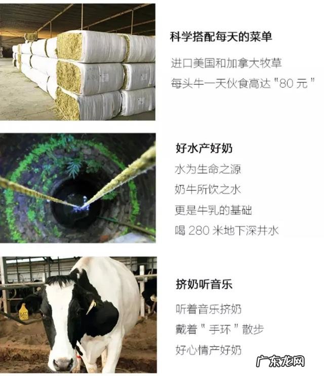 一顿暖心早餐,开启元气满满的一天