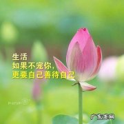 经历领悟人生哲理短句经典 【抖音文案】人生哲理经典短句