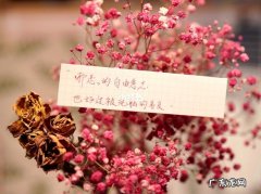 景点打卡朋友圈配文 【抖音文案】发朋友圈打卡景点精美句子