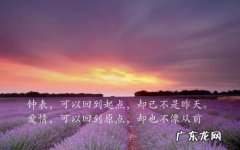 海边风景句子说说心情短语 【抖音文案】配风景照的说说的句子