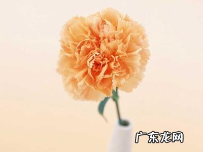 描写温暖的优美句子 【抖音文案】描写心里温暖的句子