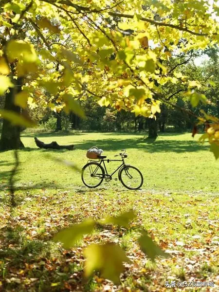 教你30招单反拍摄技巧 怎么拍照片更好看