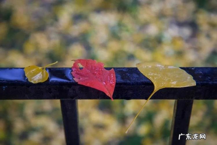 描写山里小城的优美句子 【抖音文案】关于小城的优美句子