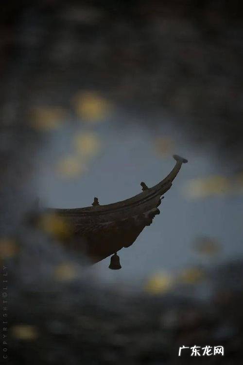 描写洛阳的唯美诗句 【抖音文案】描写十一月的唯美诗句